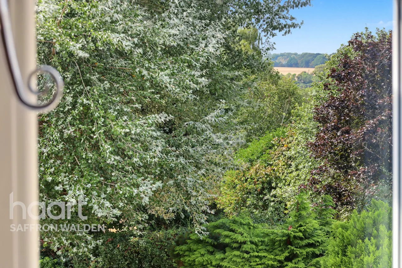 Ware Park, Ware, SG12, photo 8