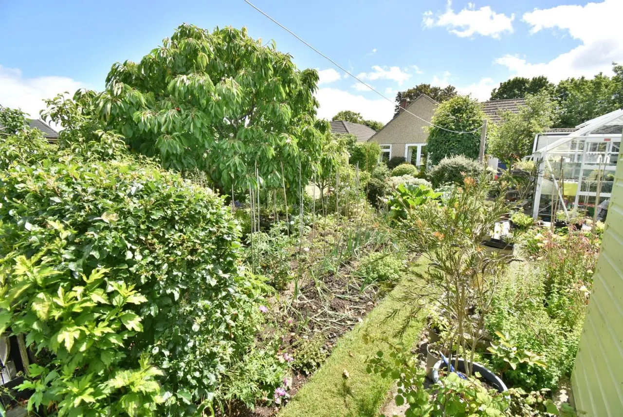 Ringwood Road, BH11, photo 19