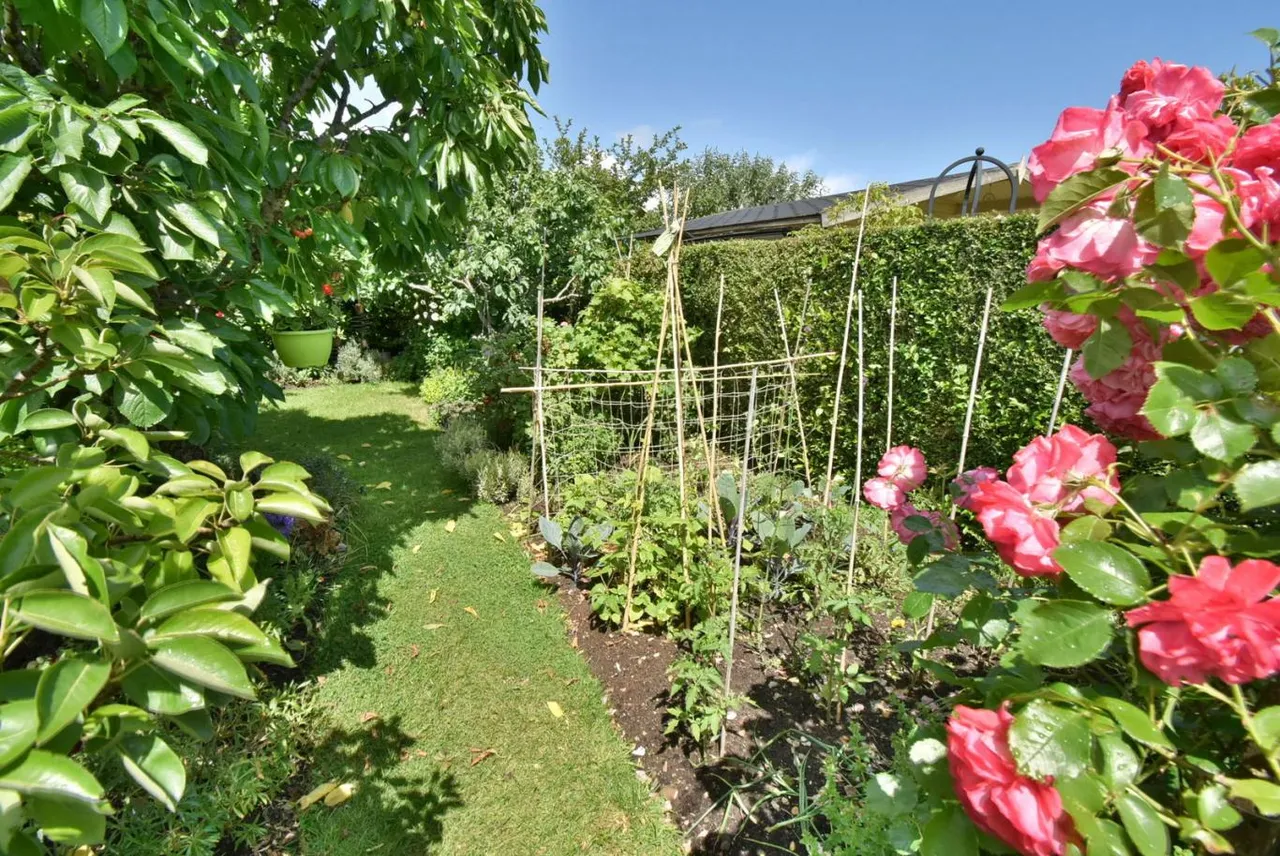 Ringwood Road, BH11, photo 21