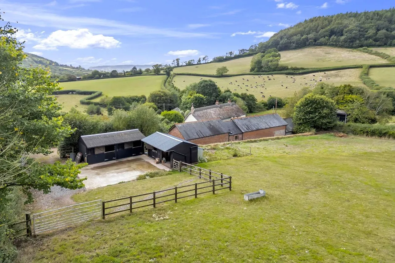 Harcombe, Sidmouth, EX10, photo 23