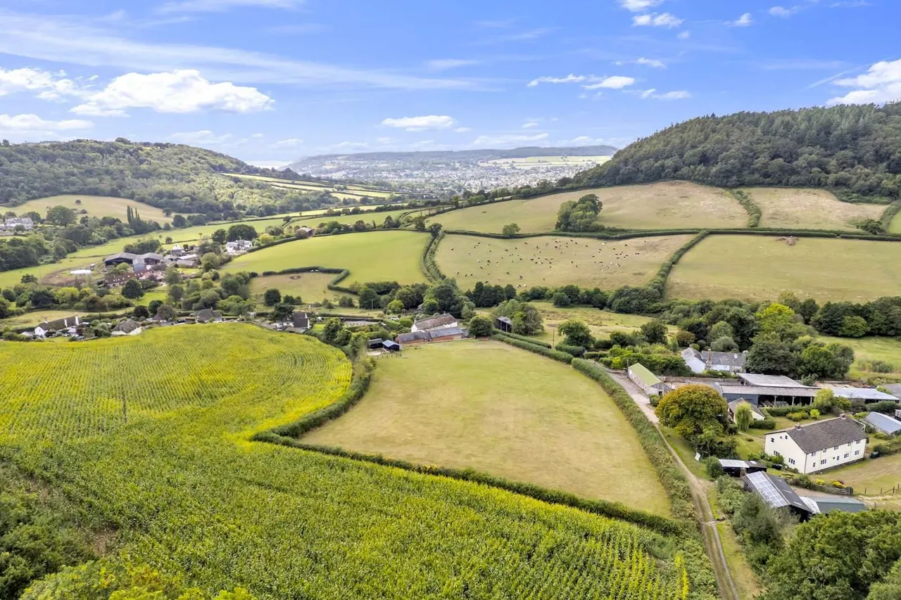 Harcombe, Sidmouth, EX10, photo 3