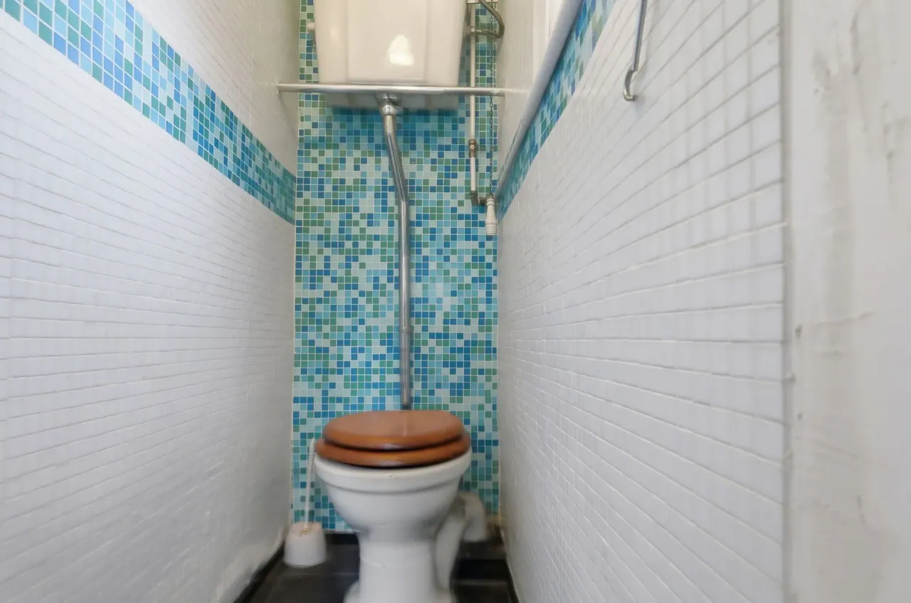Albert Road, Leyton, E10, photo 12