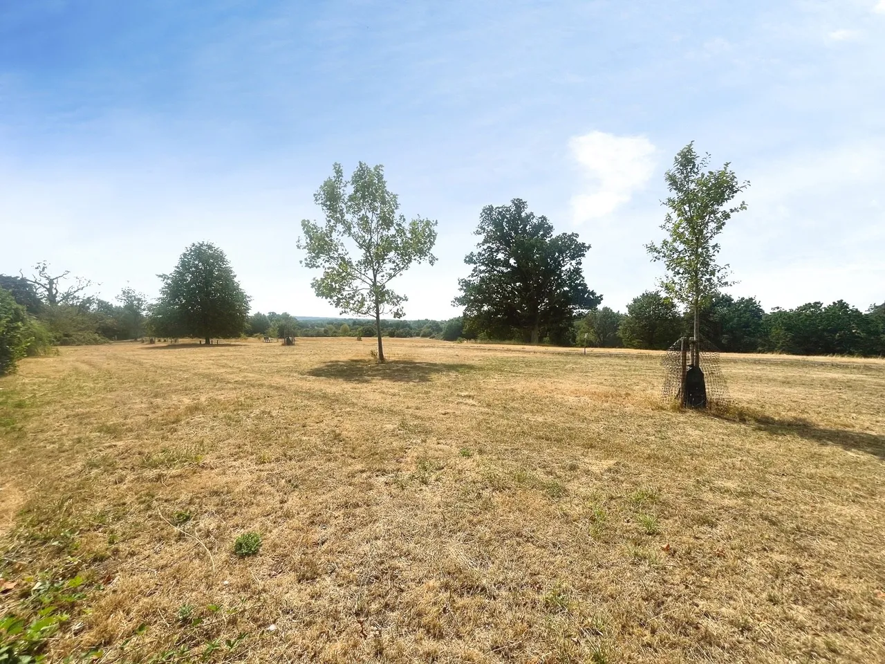 Oast House Crescent, Farnham, Surrey, GU9 0NP, photo 16