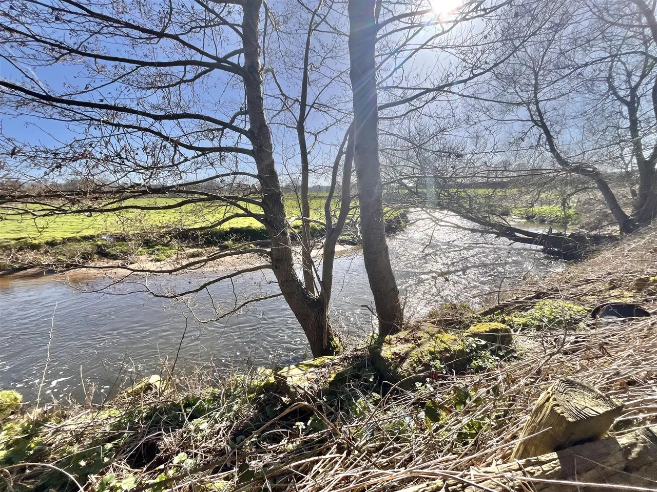 Mill Lane, Mottram St Andrew, SK10, photo 15
