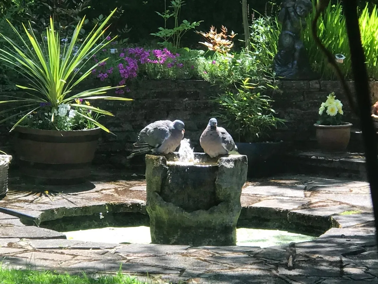 Kings Orchard, SE9, photo 17