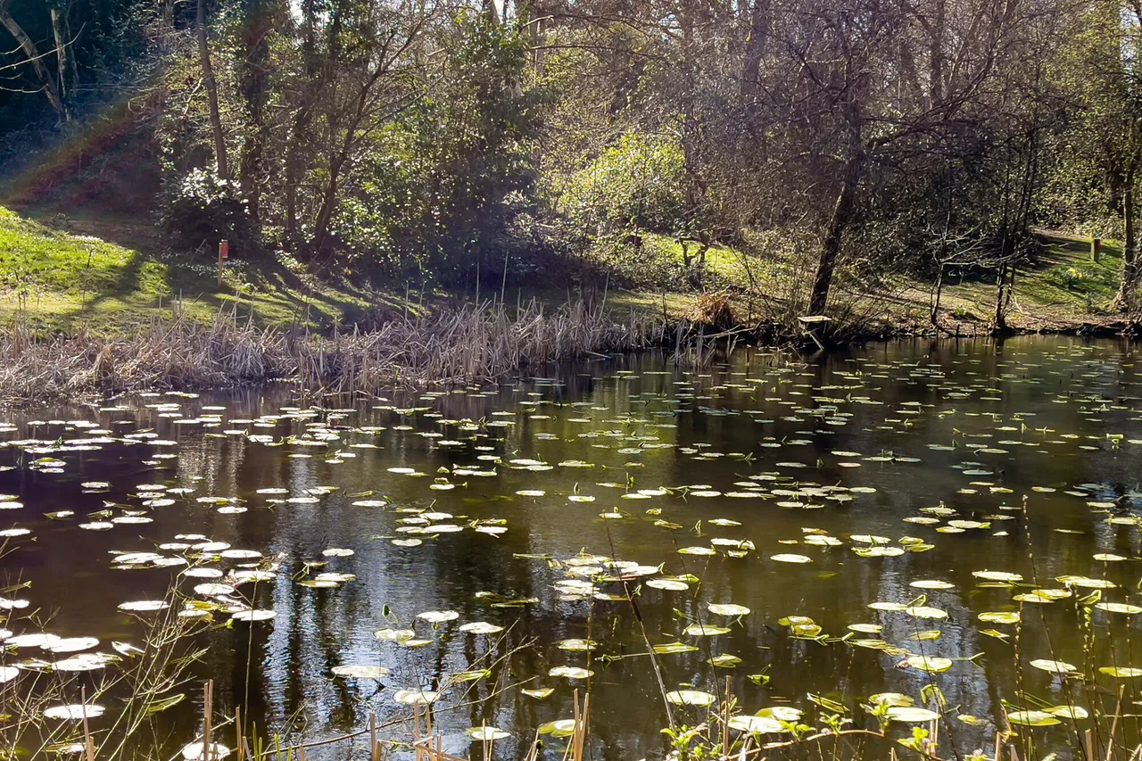 Warberry Park Gardens, Tunbridge Wells, Kent, TN4 8GJ, photo 14