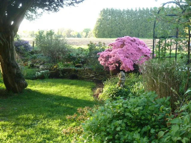 Sutton Mandeville, Salisbury, Wiltshire, SP3 5NG, photo 12