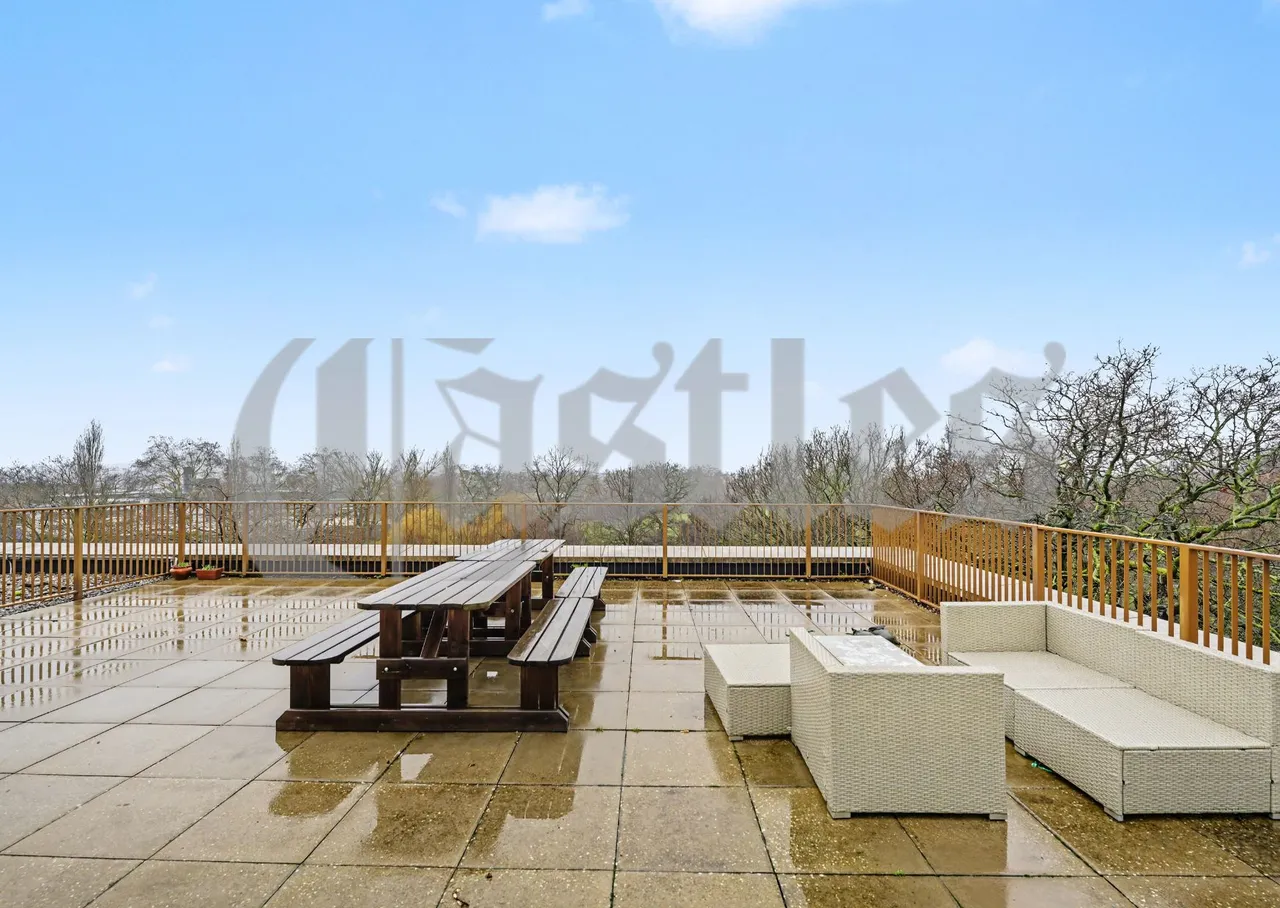 Apple Tree Road, London, N17, photo 11