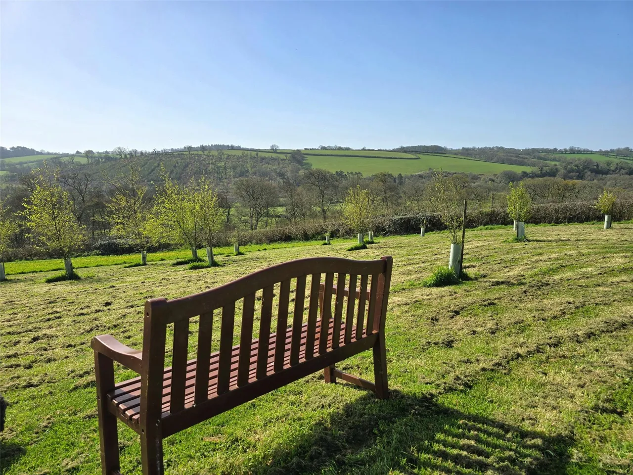 Yeolmbridge, Launceston, photo 23