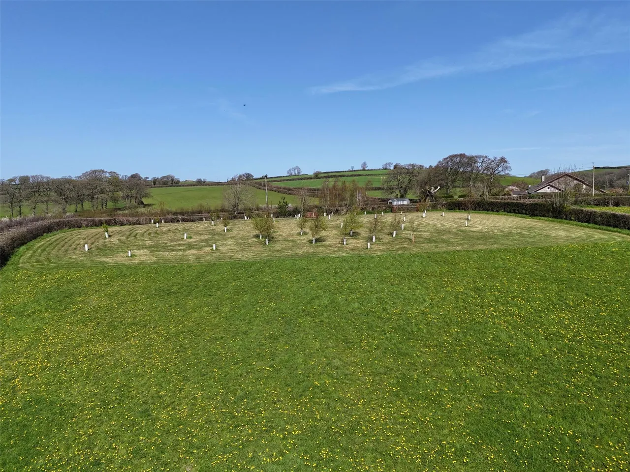 Yeolmbridge, Launceston, photo 5