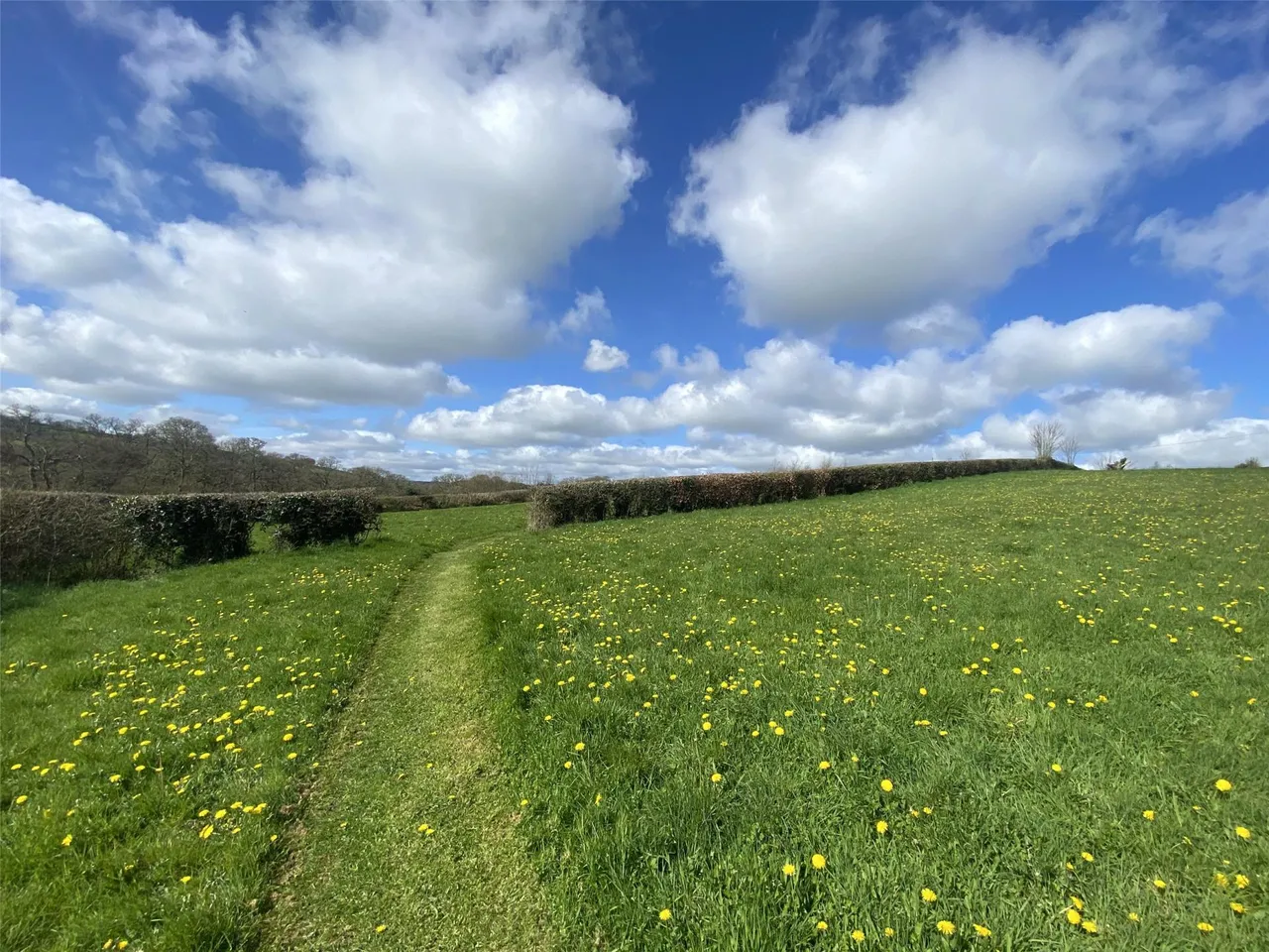 Yeolmbridge, Launceston, photo 20