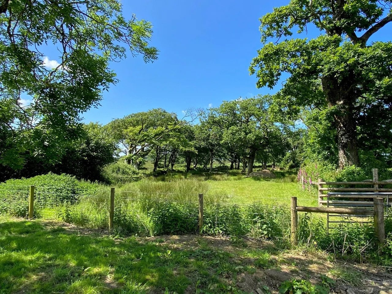 Sutcombe, Holsworthy, EX22, photo 14
