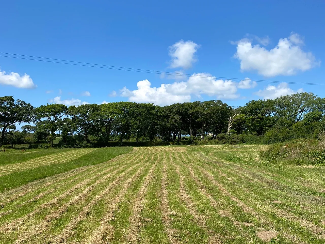 Sutcombe, Holsworthy, EX22, photo 4