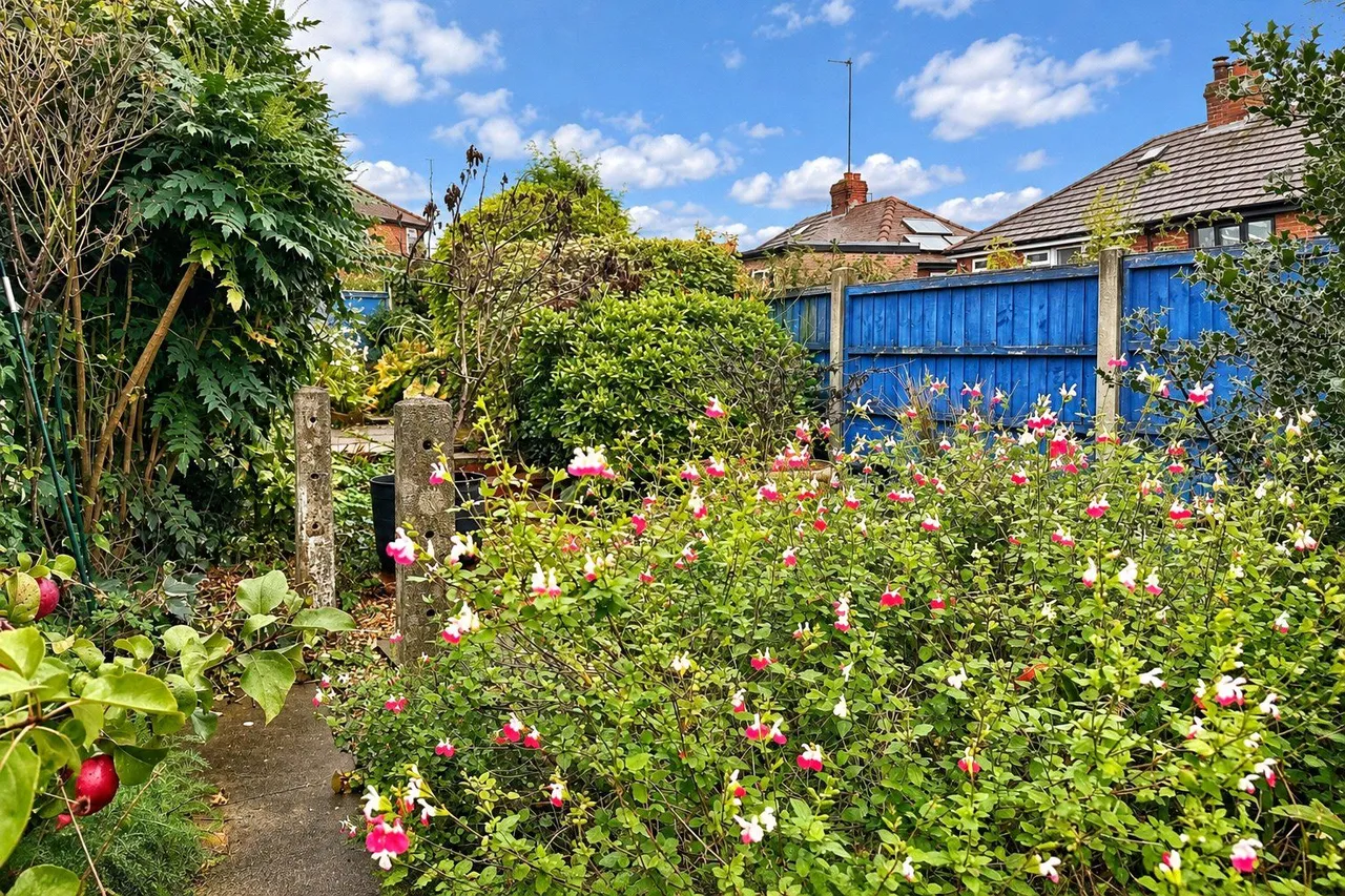 Waterloo Street, Ashton-under-Lyne, OL6, photo 16