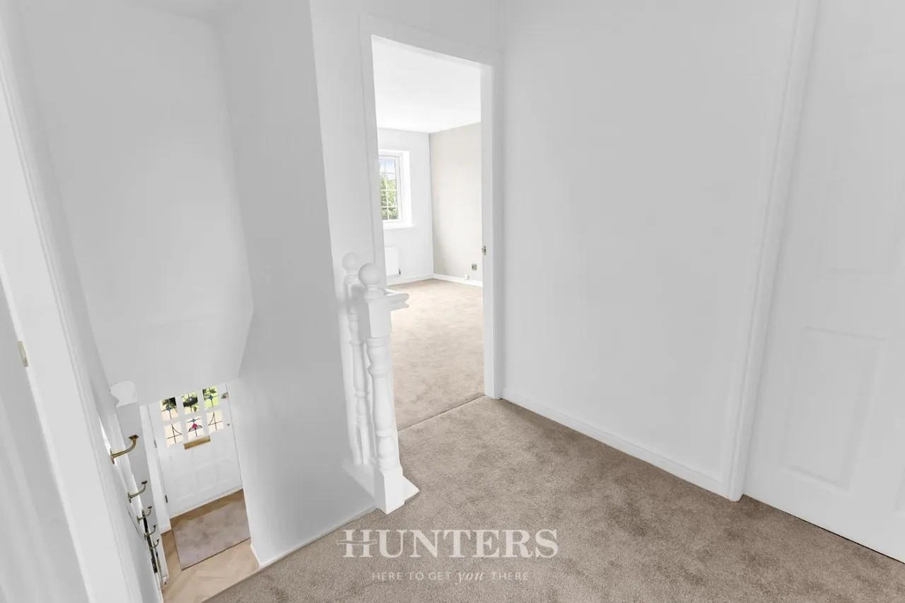 Silverton Grove, Silver Birch, M24, photo 16
