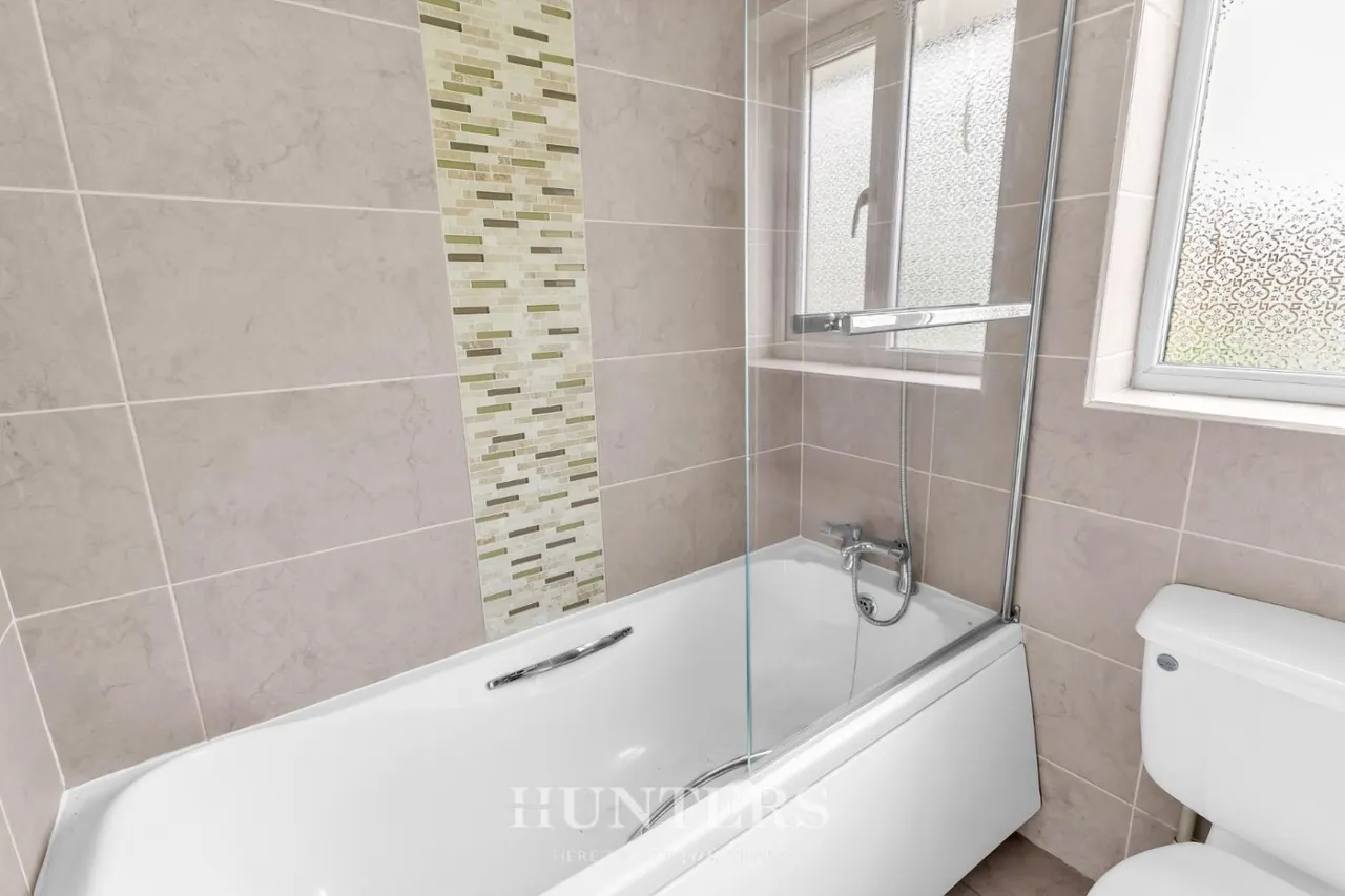 Silverton Grove, Silver Birch, M24, photo 17