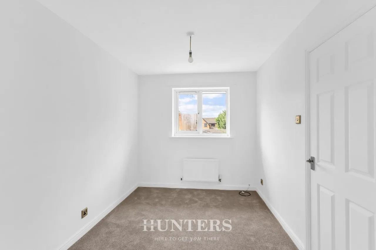 Silverton Grove, Silver Birch, M24, photo 15