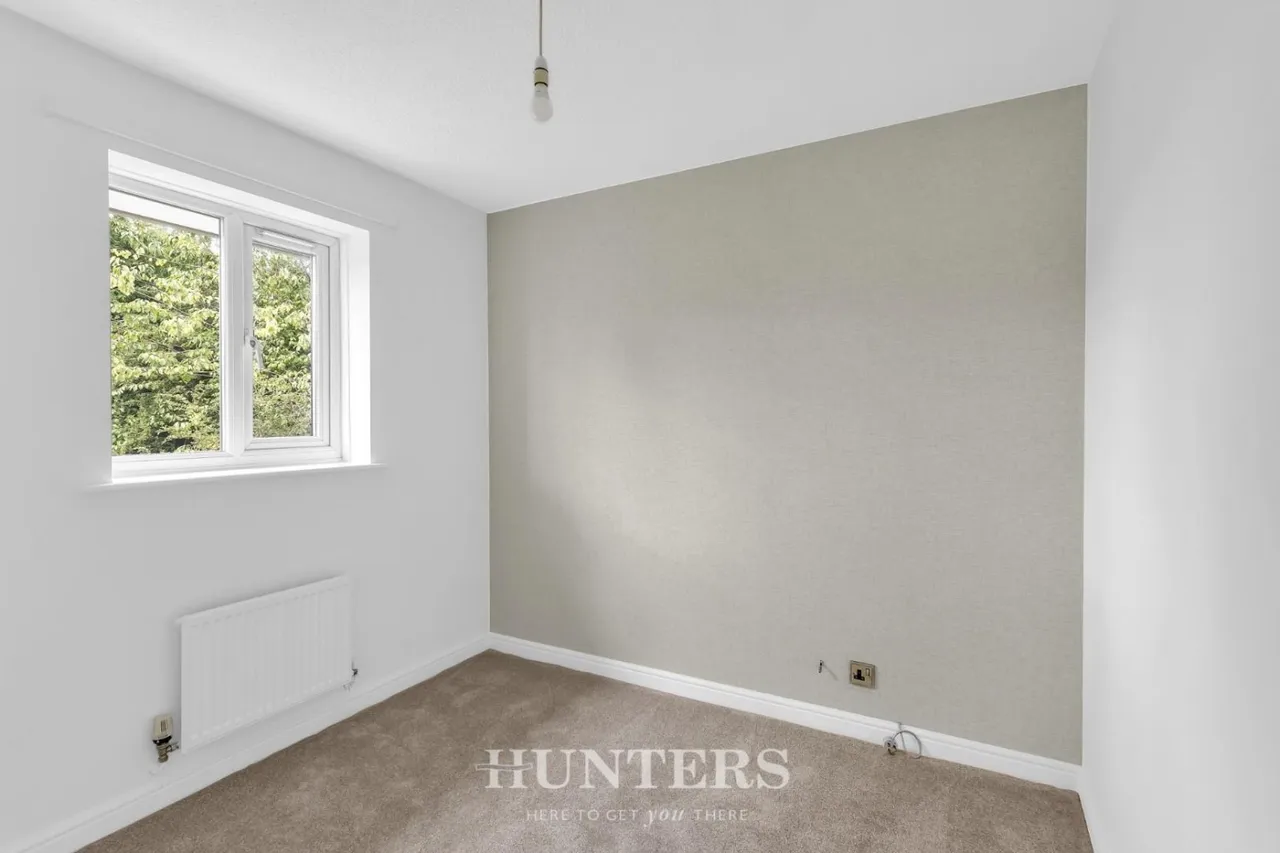 Silverton Grove, Silver Birch, M24, photo 14