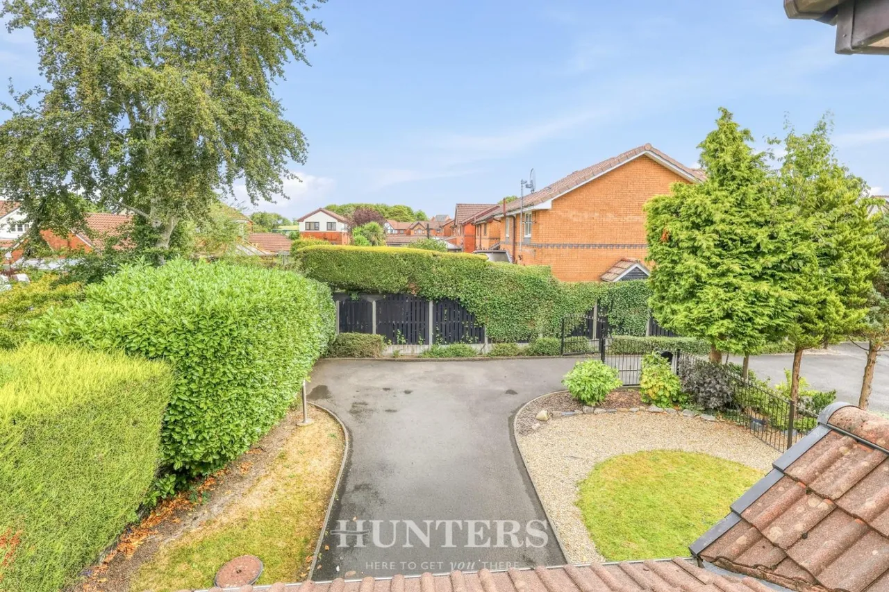 Silverton Grove, Silver Birch, M24, photo 18