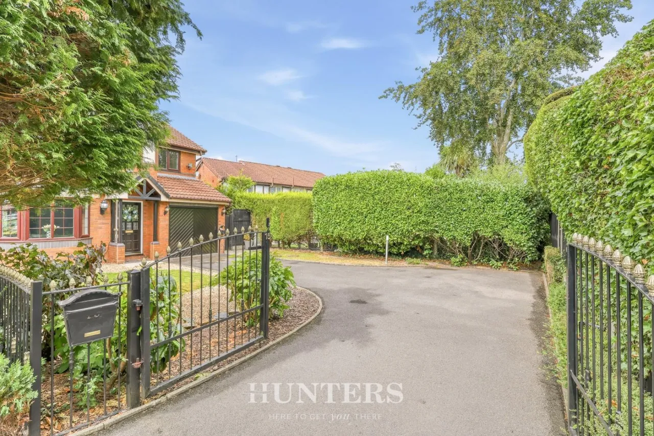 Silverton Grove, Silver Birch, M24, photo 2