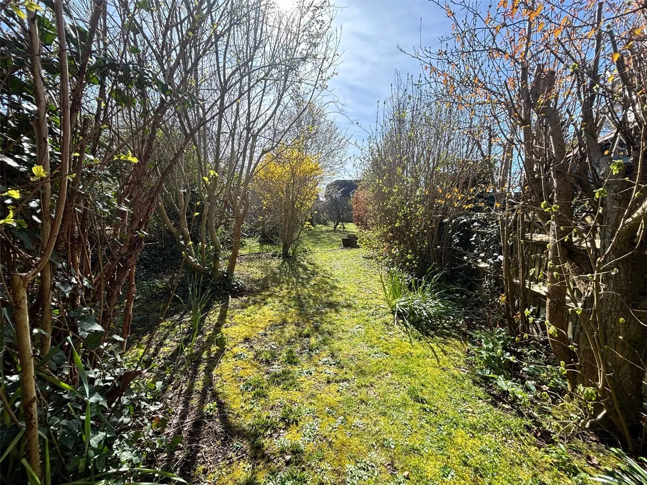 The Borough, Downton, Salisbury, Wiltshire, SP5 3ND, photo 11