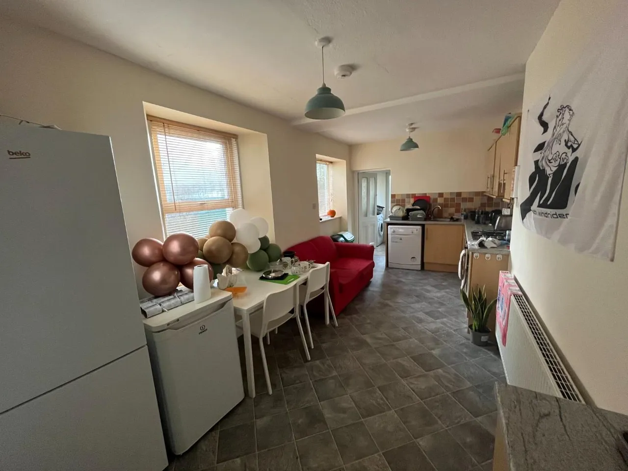 Greenbank Avenue, Plymouth, photo 10