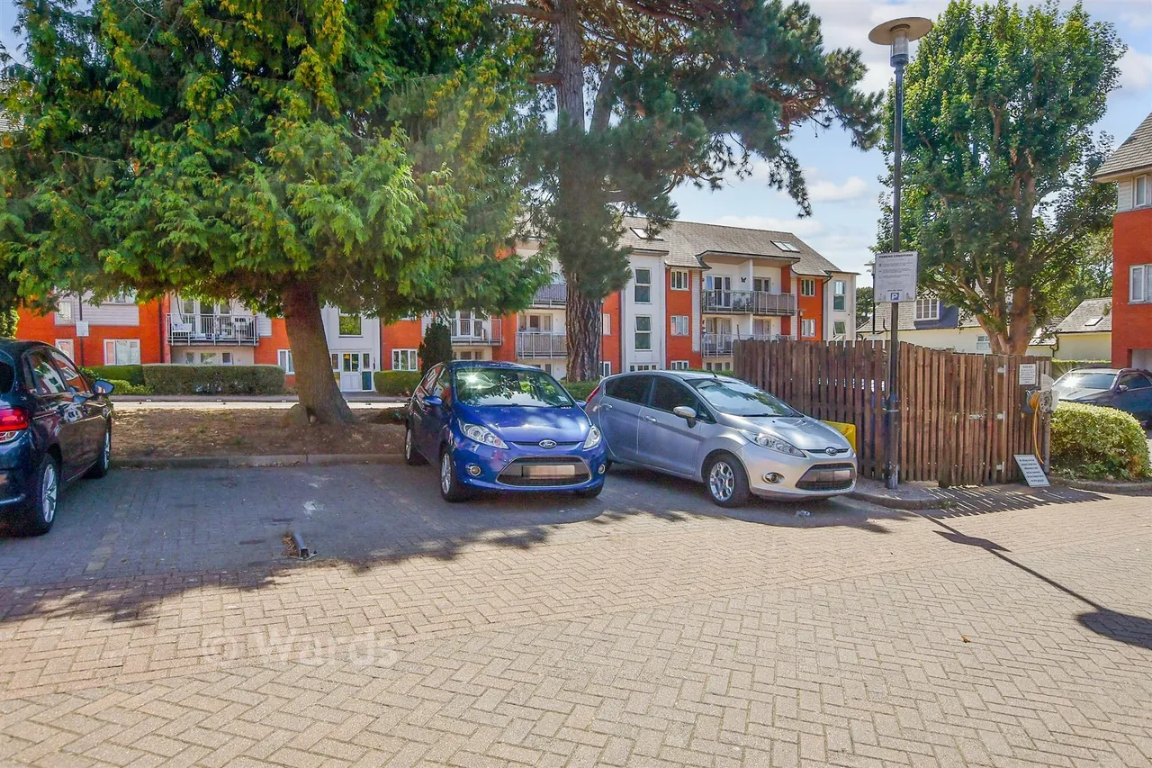Holland Road, Maidstone, ME14, photo 6