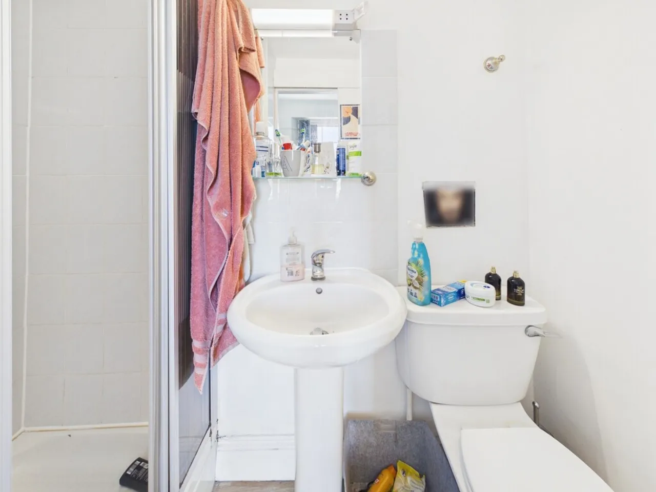 North Road East, Plymouth, PL4, photo 23