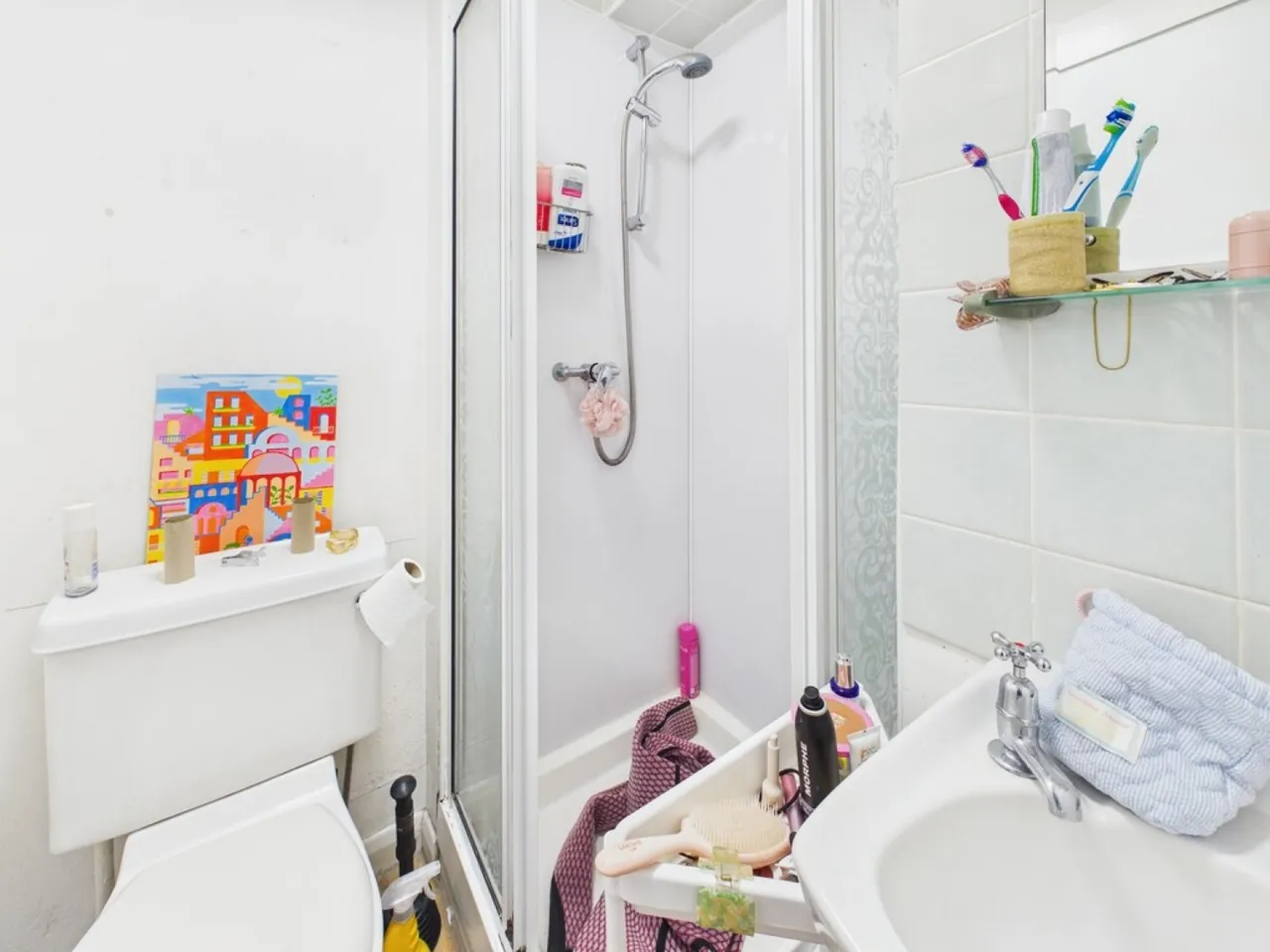North Road East, Plymouth, PL4, photo 16