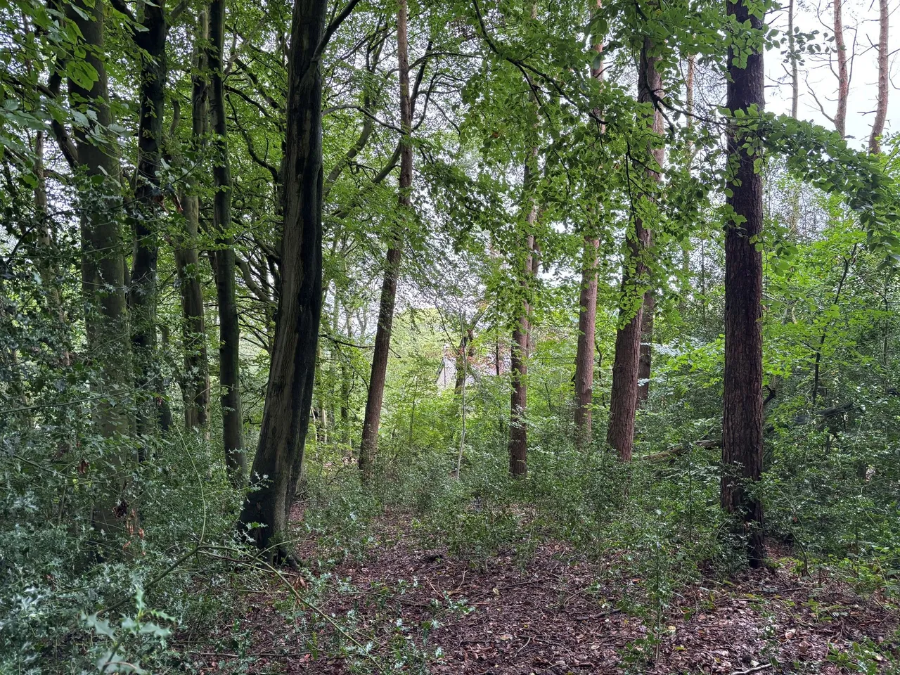 Gibb Lane, Stockport, photo 19
