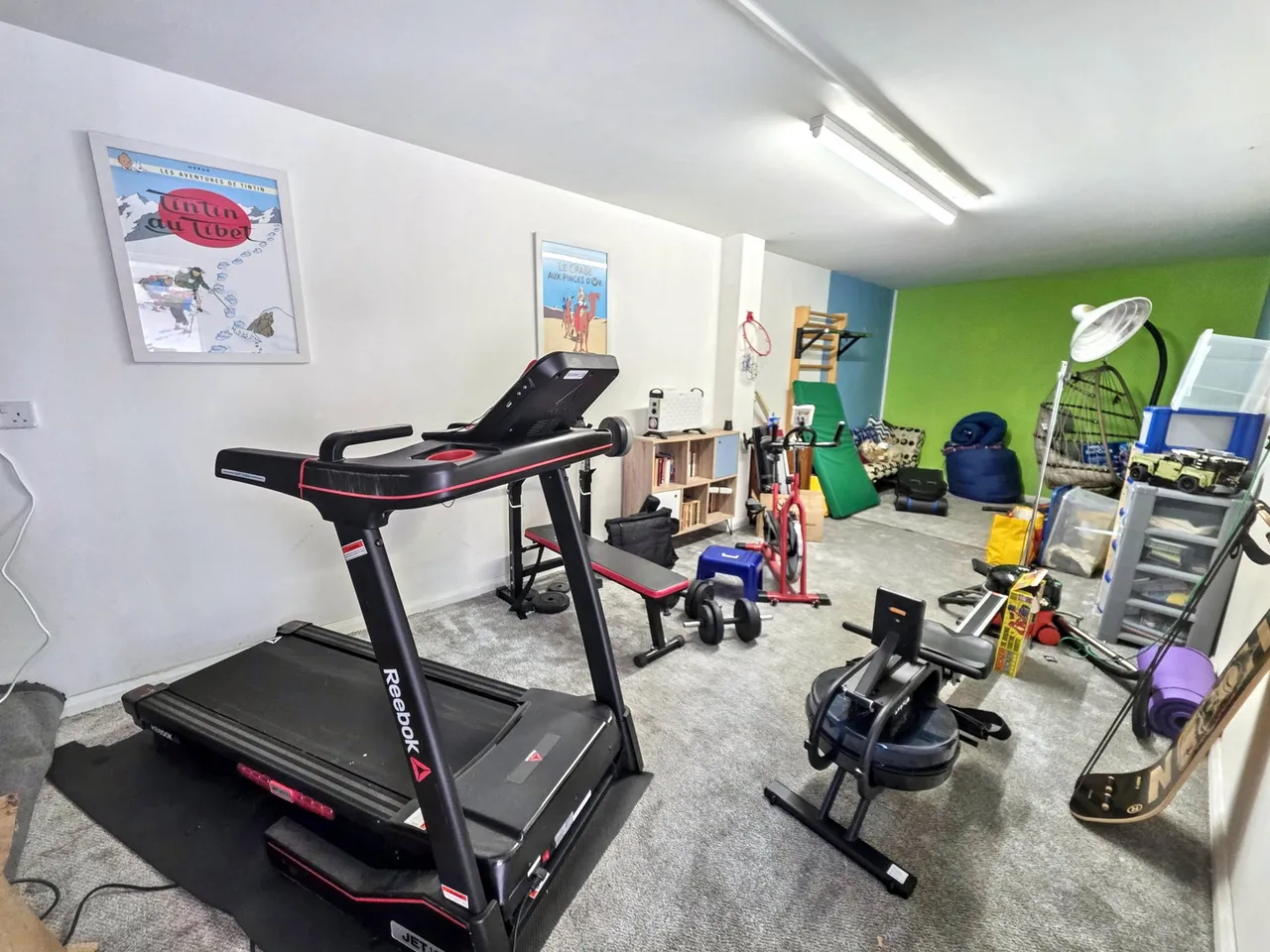 Sandpiper Road, Plymouth, PL6, photo 20