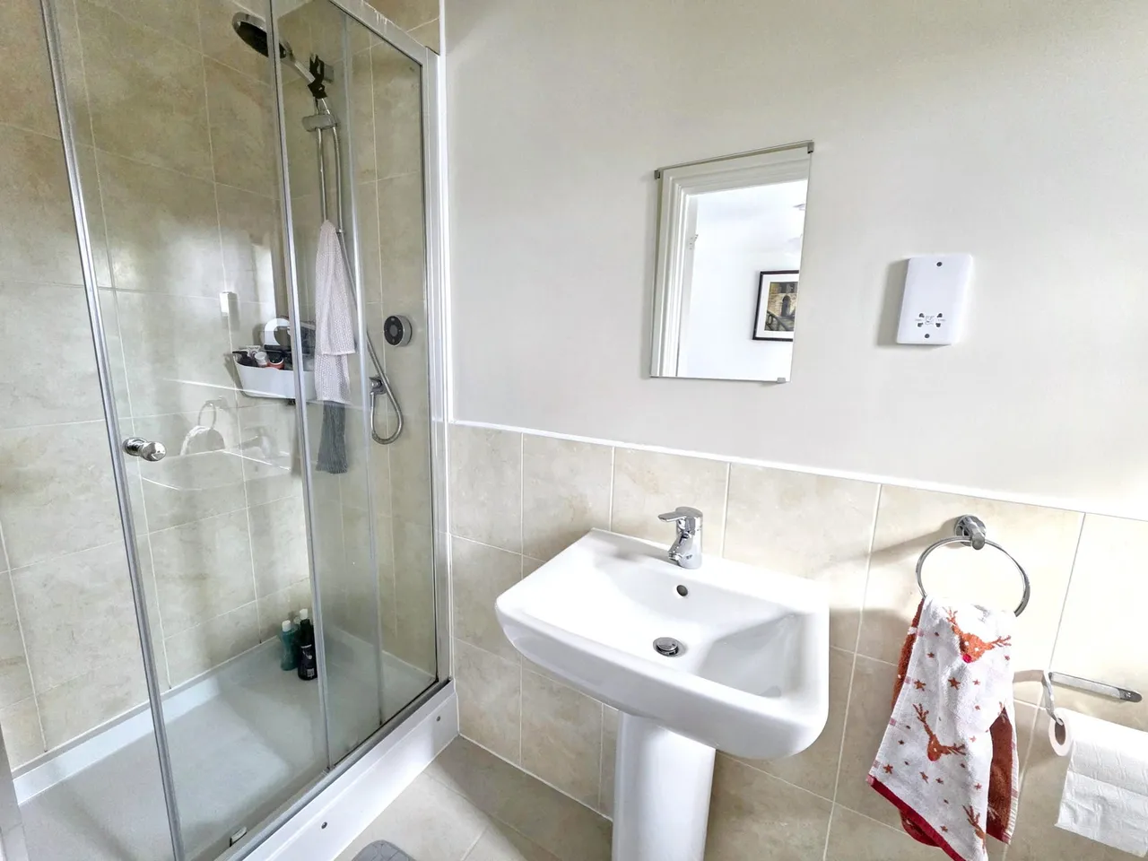 Sandpiper Road, Plymouth, PL6, photo 10