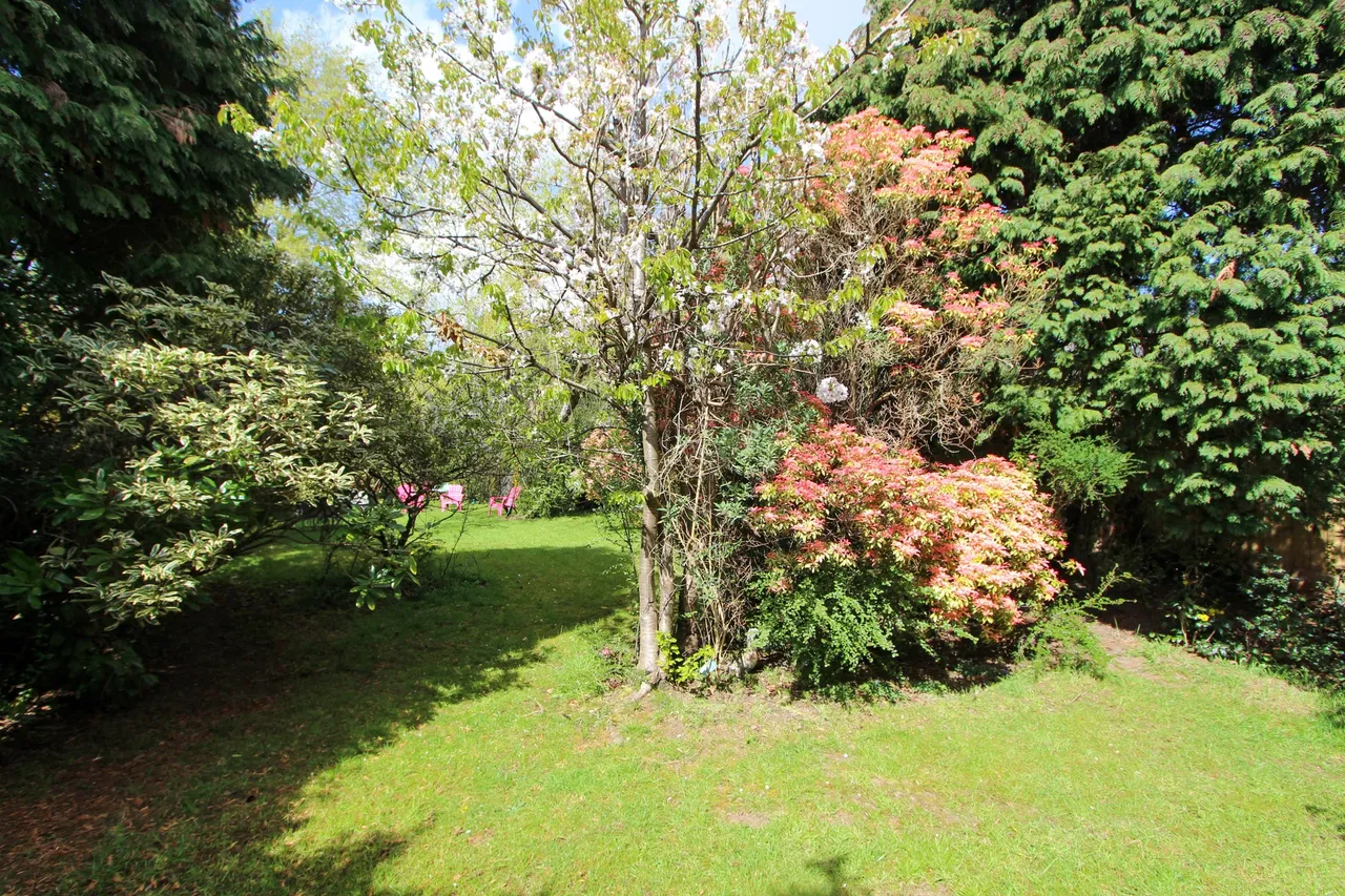 Park View Road, Sutton Coldfield, Sutton Coldfield, B74 4PT, photo 21