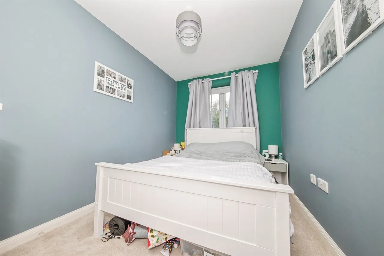 Ivan Blatny Close, IPSWICH, photo 12