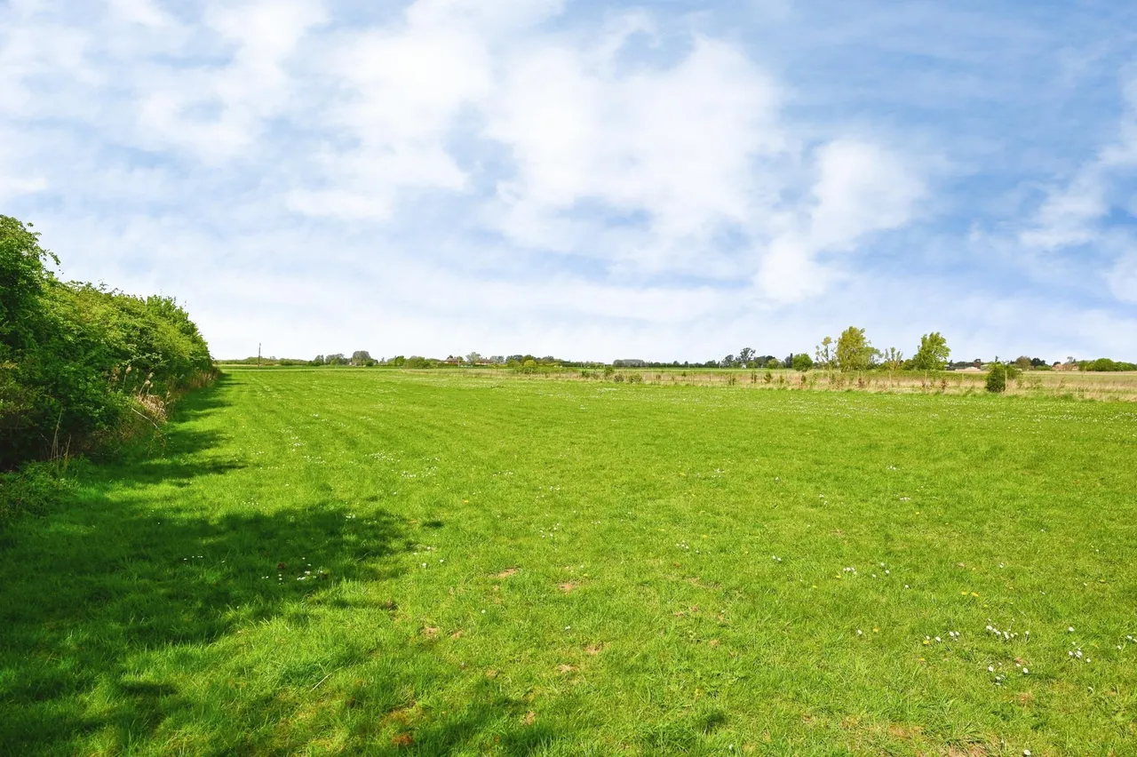 Baulkins Drove, Sutton Saint James, PE12, photo 3