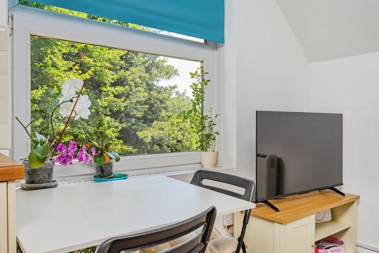 Middle Warberry Road, Torquay, photo 11