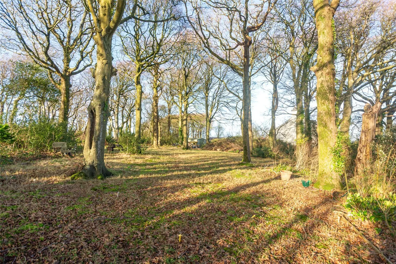 Trefor, Holyhead, LL65, photo 13