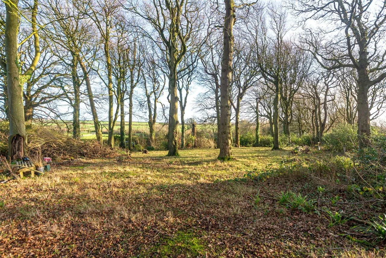 Trefor, Holyhead, LL65, photo 9