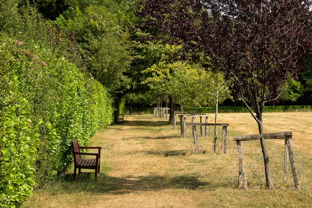 Castle Village, Berkhamsted, photo 22