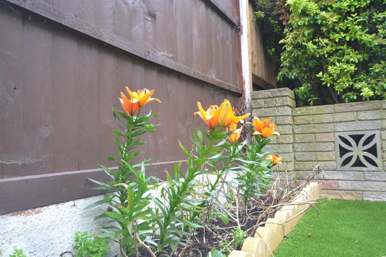 Sylvester Road, London, Greater London E17 8ED, photo 12