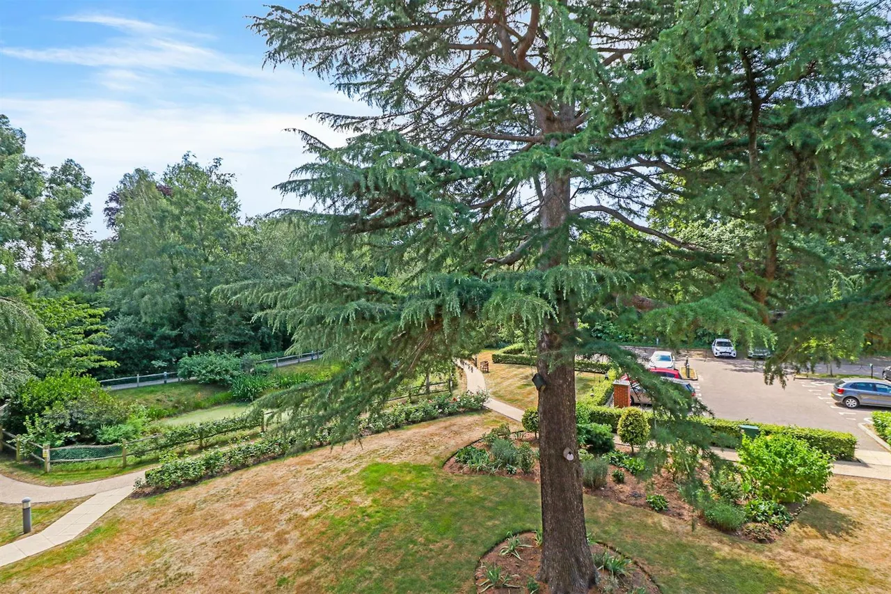 St. Pauls Cray Road, Chislehurst, BR7, photo 5