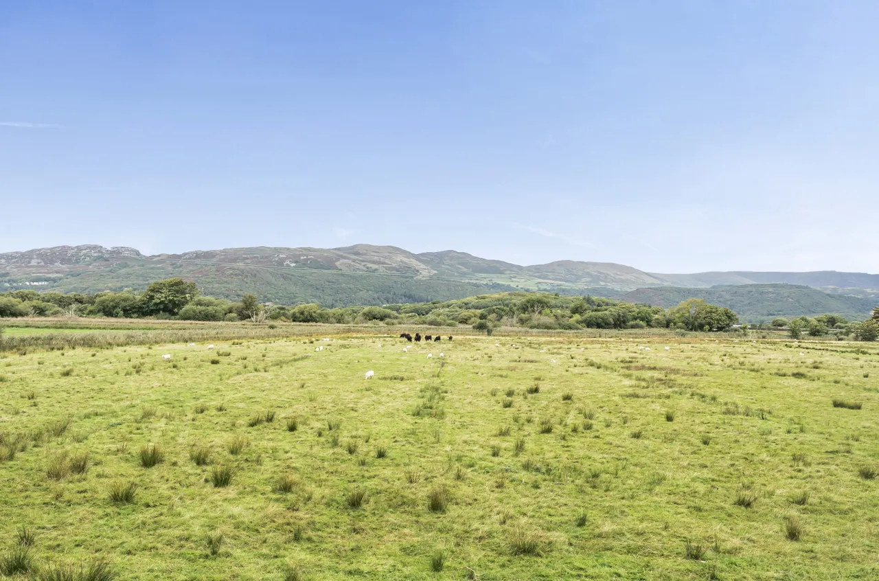 Arthog Terrace, Arthog, photo 21