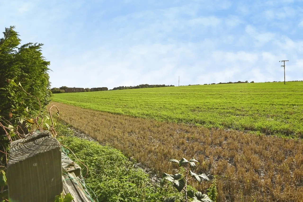 East Meon Road, Clanfield, PO8, photo 20