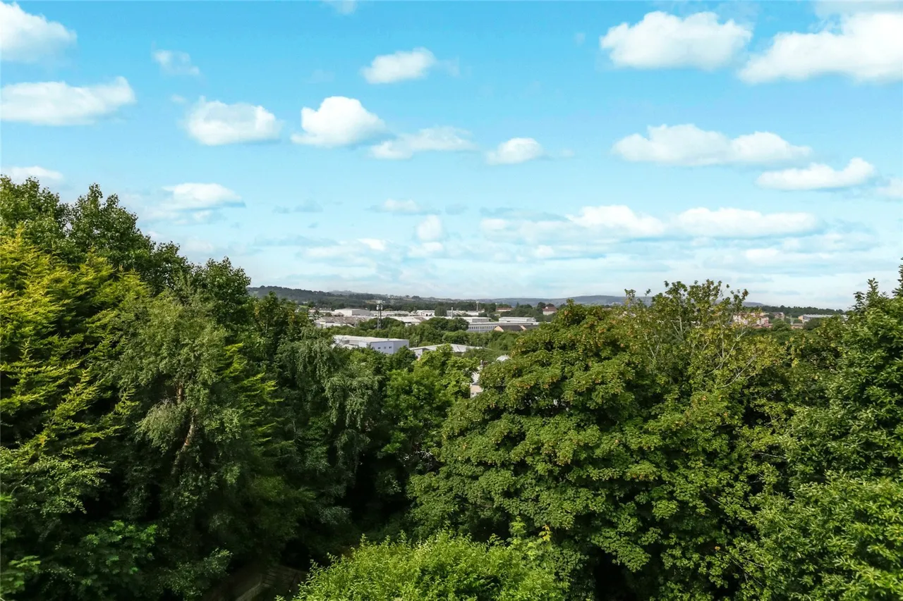 Crosslees Drive, Thornliebank, Glasgow, East Renfrewshire, G46, photo 18