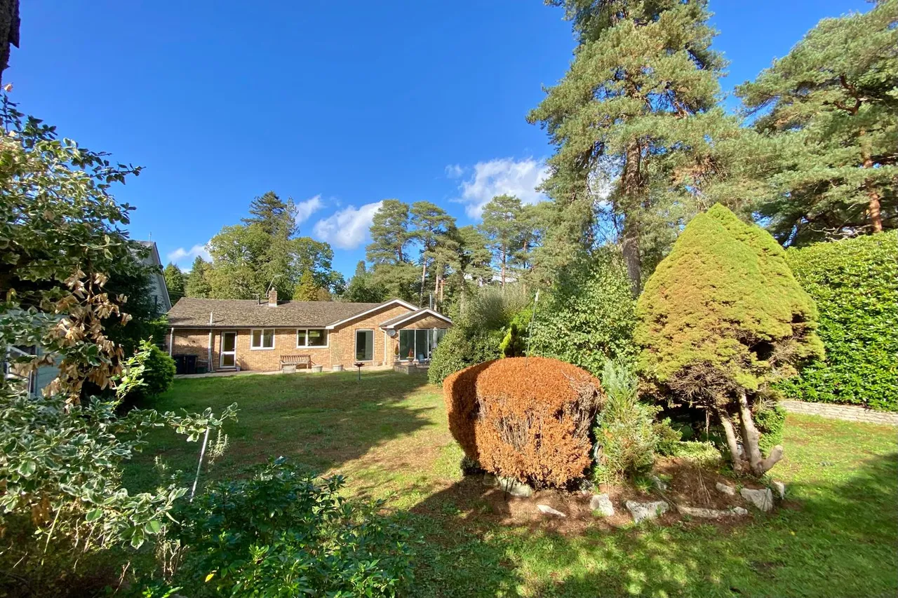 Ashley Heath, Ringwood, BH24, photo 27