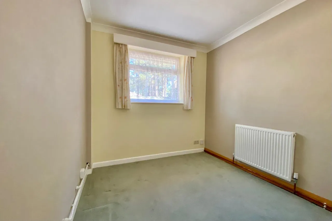 Ashley Heath, Ringwood, BH24, photo 20