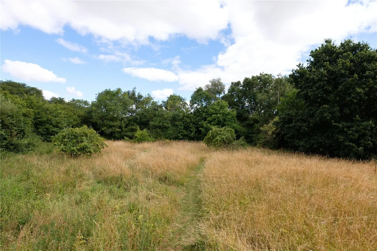 Over Stratton, South Petherton, TA13, photo 24