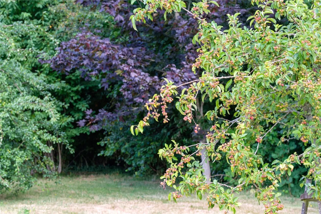 Over Stratton, South Petherton, TA13, photo 27