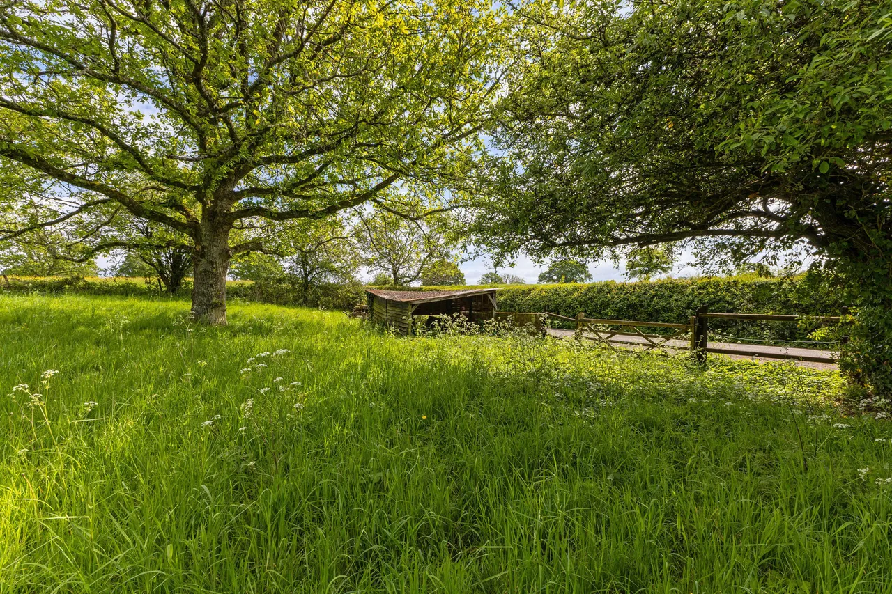Snailing Lane, Greatham, GU33, photo 4