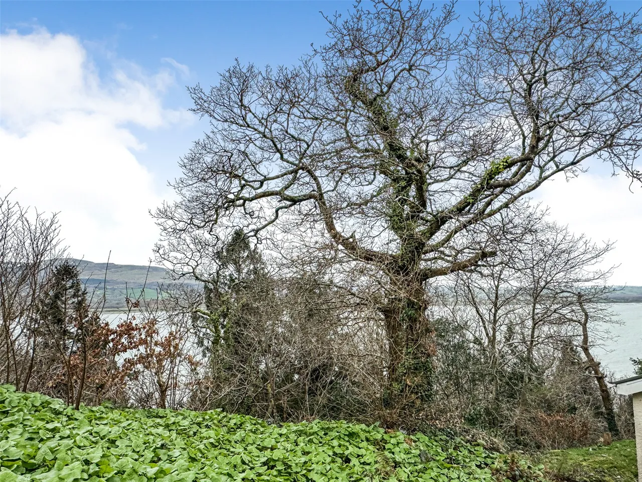 Plas Panteidal, Aberdovey/Aberdyfi, photo 10